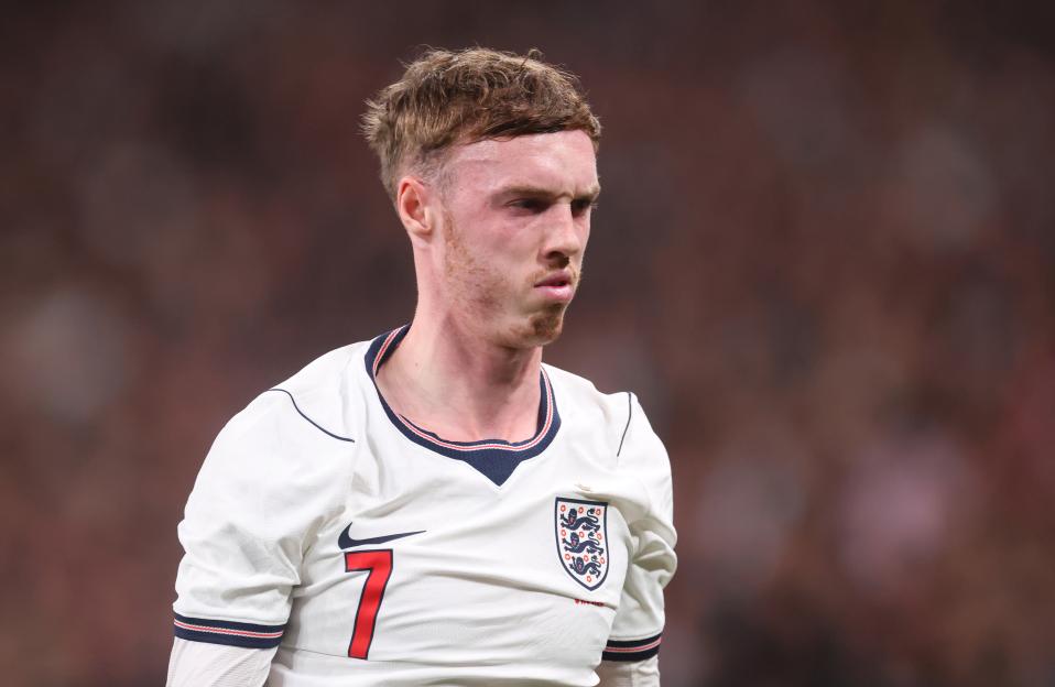 England v Japan - International Friendly