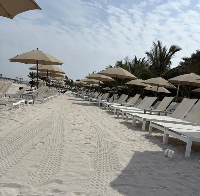 NINTCHDBPICT001064413418