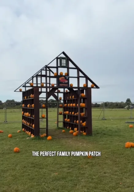 A sparse wooden frame shaped like a house, with small pumpkins placed on its shelves and scattered on the grass in a field at the Suffolk Pumpkin Patch.
