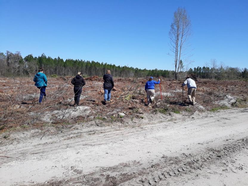 NINTCHDBPICT001037790306