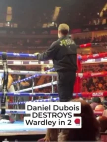 ‘Get that towel in!’ – Moment panicked Fabio Wardley coaches scramble to stop Daniel Dubois fight amid demolition