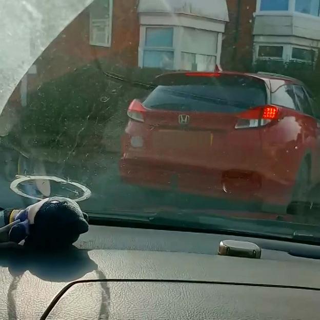 'Road Rage Mayhem: Man Struck by Car, But Police Dismiss Case Over His Profanity'