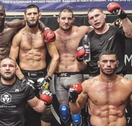 Group of six MMA fighters, some with boxing gloves, standing together.