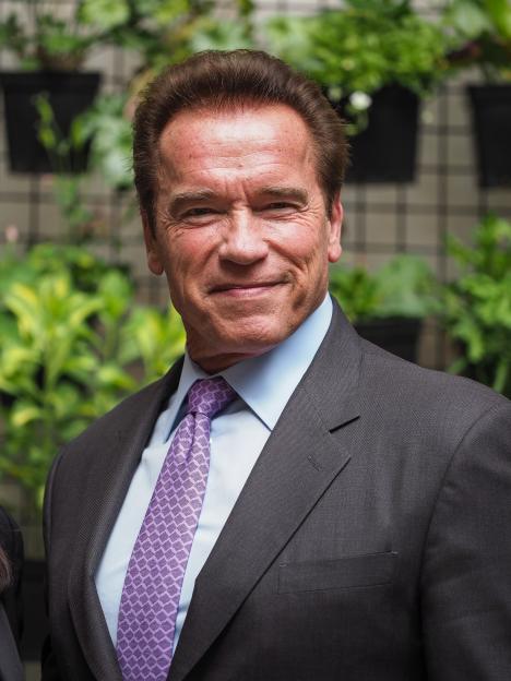Arnold Schwarzenegger smiling, wearing a dark suit, light blue shirt, and purple patterned tie.