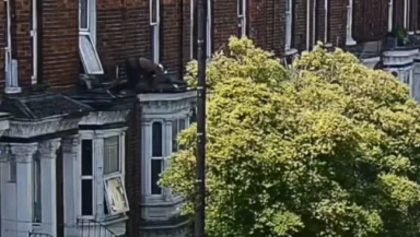 "Kidnap Victim Leaps from First-Floor Window into Tree to Alert Police, Leading to Gang's Arrest at Gunpoint"