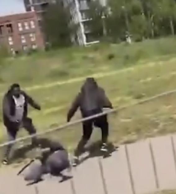 An altercation involving multiple individuals in a park with buildings in the background.