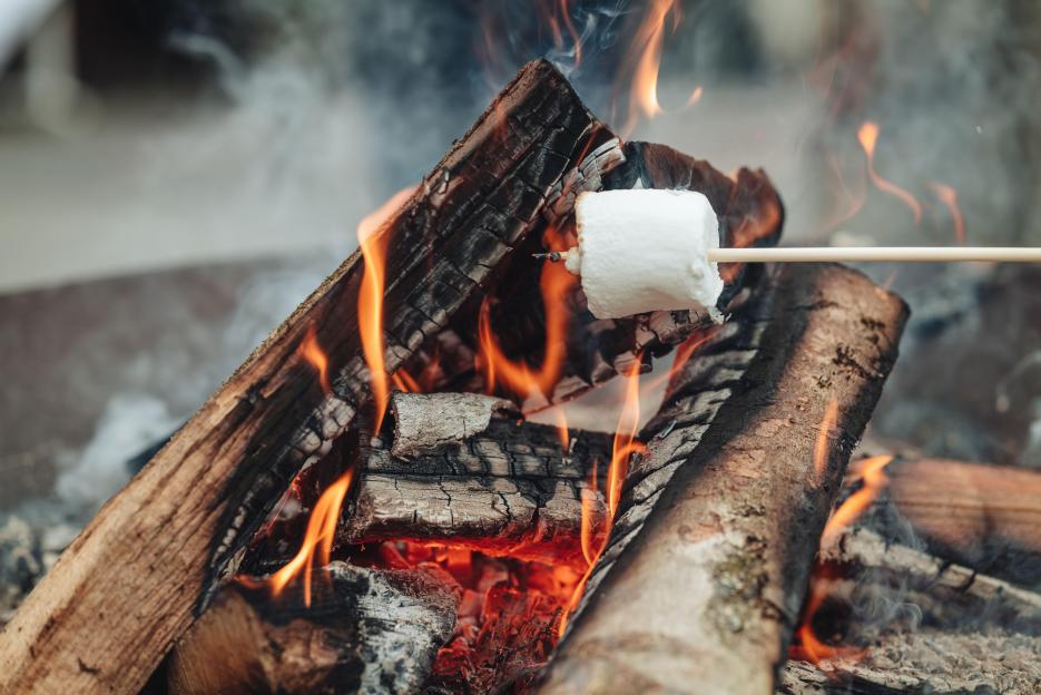 Marshmallow on a stick roasting over a fire.