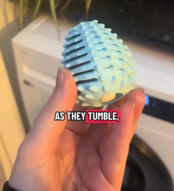 NINTCHDBPICT001042221585