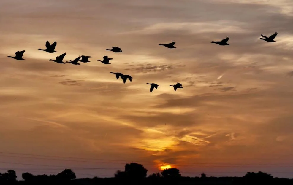 When will it get light today? Civil dawn explained – and full list of UK times for 2026