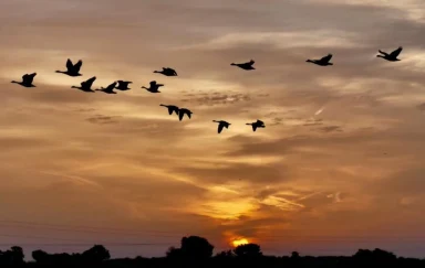 When will it get light today? Civil dawn explained – and full list of UK times for 2026