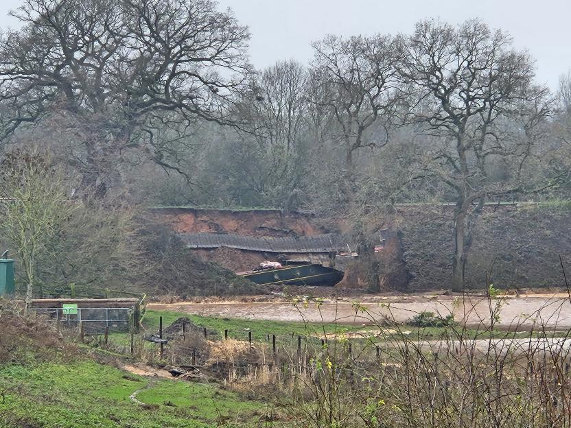 NINTCHDBPICT001047368358