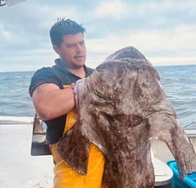 Daniel Gilbert, a commercial fisherman, holding a large monkfish on his boat.
