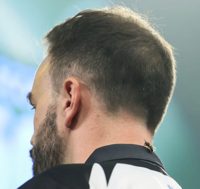 What’s the Buzz About Wasps at Ally Pally During the World Darts Championship?