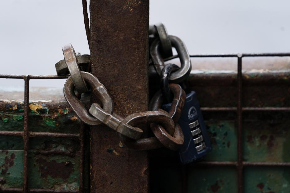 NINTCHDBPICT001060486417