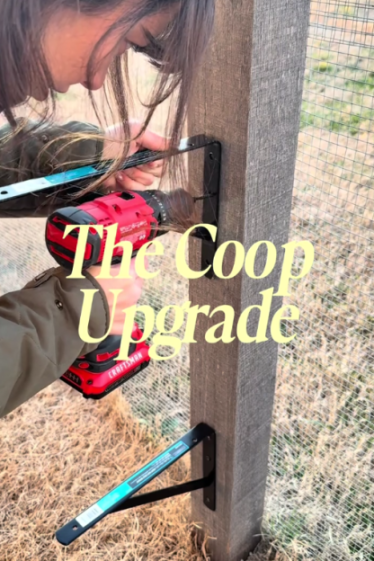 A person using a red drill to attach a metal bracket to a wooden post, with text "The Coop Upgrade".