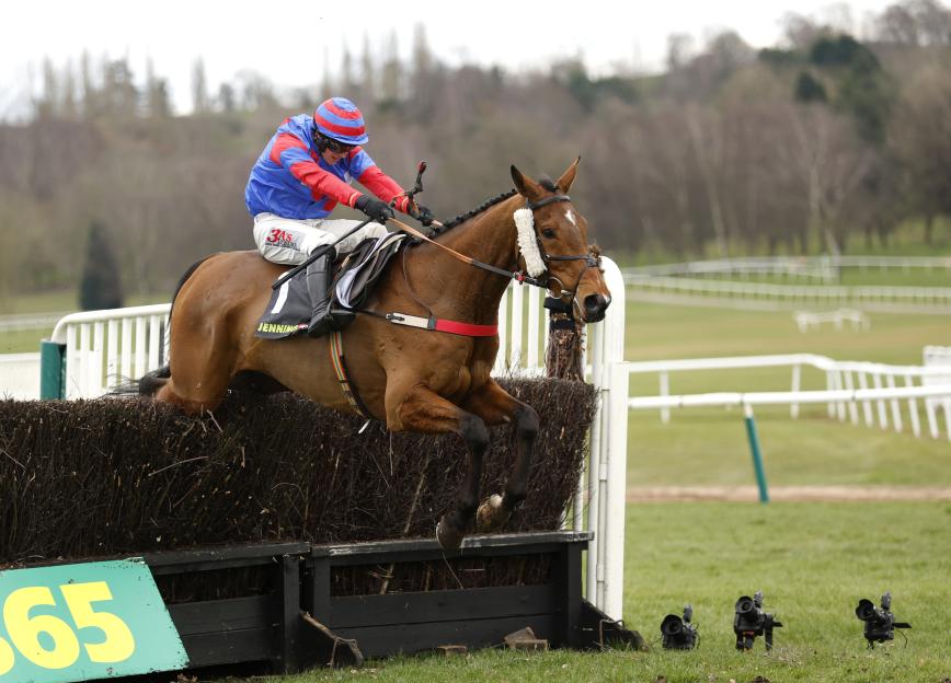 'I'm Betting on This 14-1 Dark Horse for the Gold Cup After Its Stunning King George Performance!'