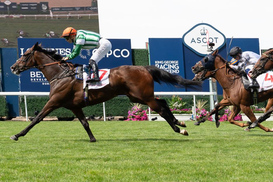From £2 to £52,000: How a Lucky Punter Hit the Jackpot with a Seven-Fold Accumulator at York and Ascot!