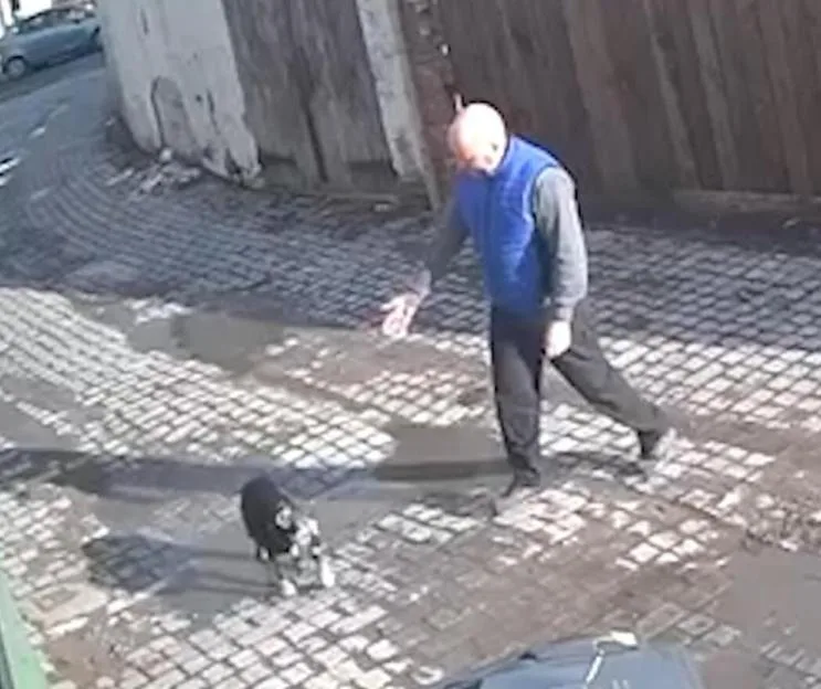 CCTV footage shows David Allan Young kicking his elderly dog, Milo, on a cobbled street.