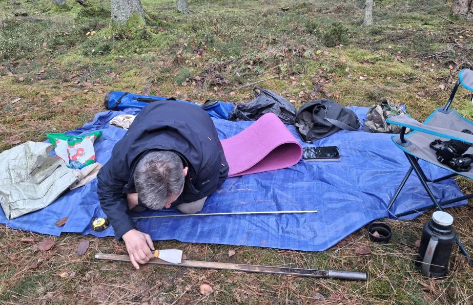 NINTCHDBPICT001067236060