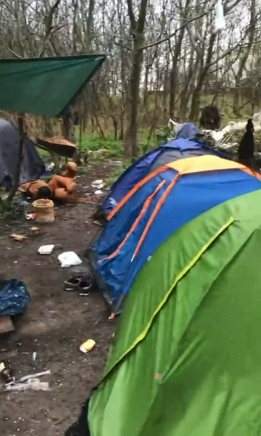A blue tent and a green tent on muddy ground next to a teddy bear and other debris in a wooded area.