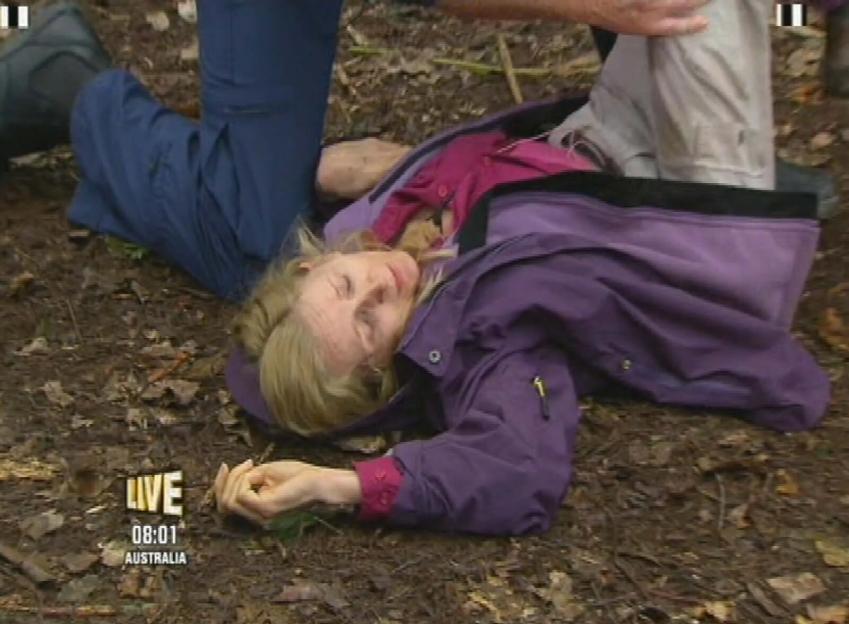 NINTCHDBPICT000000429115