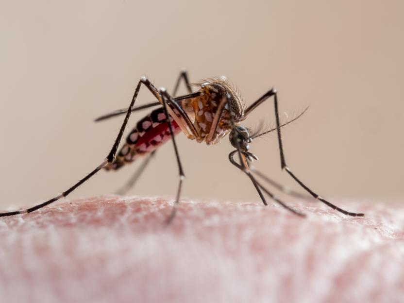 'Brits Beware: 4 Deadly Viruses Hit Record Levels in Holiday Hotspots – Discover the 10 Most Dangerous Destinations!'