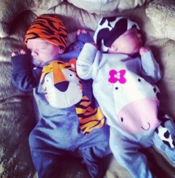 NINTCHDBPICT001049593750