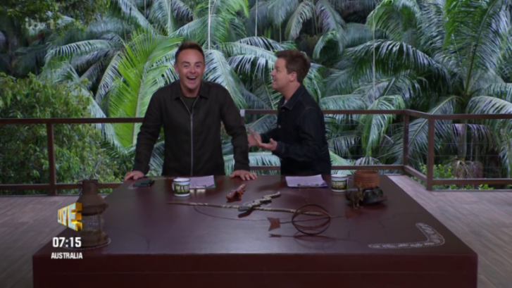 Ant McPartlin and Declan Donnelly in a jungle studio set.