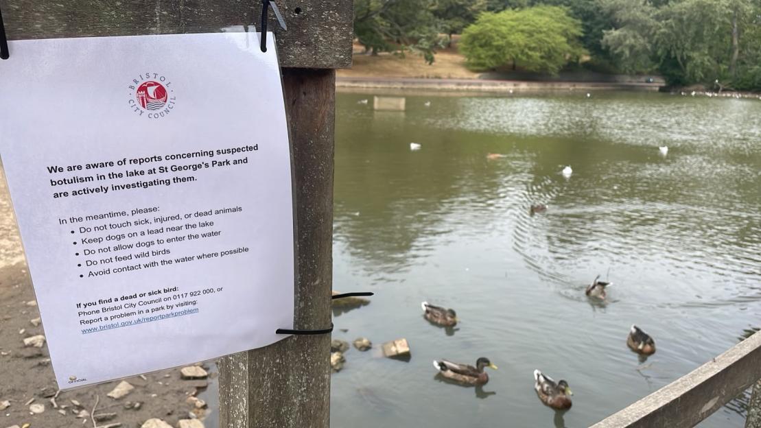 Urgent Alert: Botulism Warning at Popular UK Park – Water May Harbor Dangerous Bacteria Linked to Paralysis