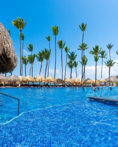 NINTCHDBPICT001072116454