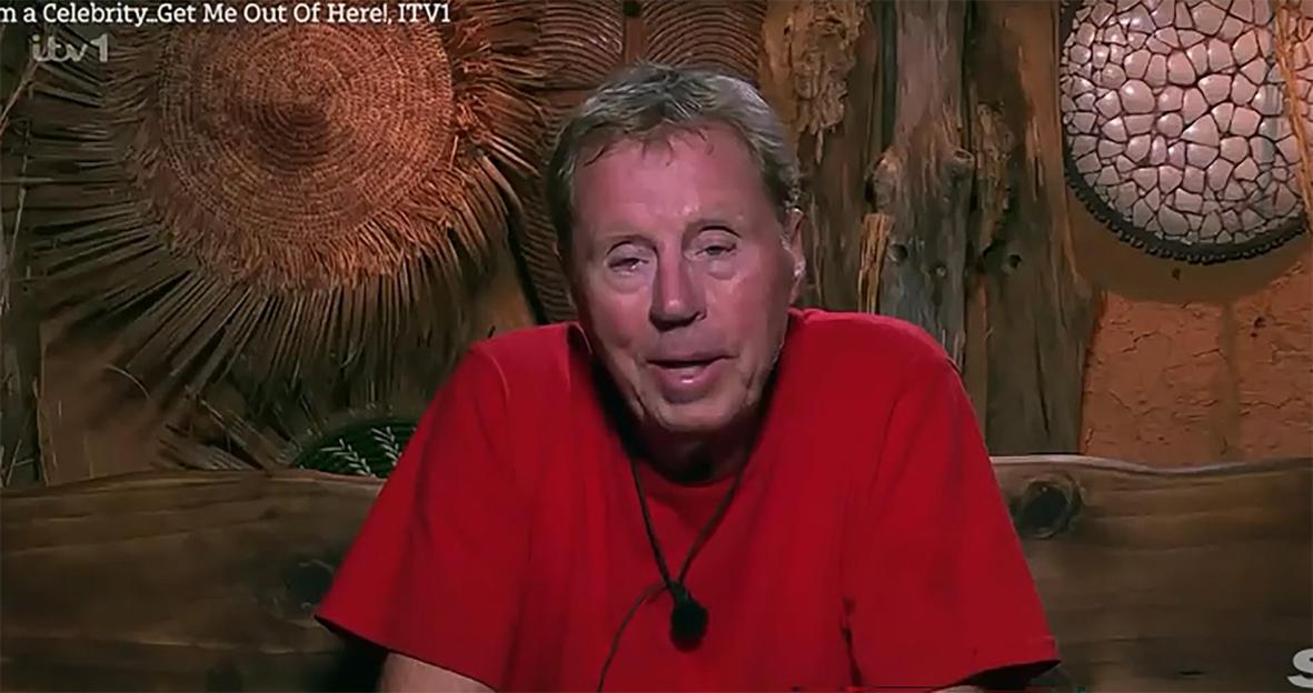 Harry Redknapp from "I'm a Celebrity, Get Me Out of Here!"