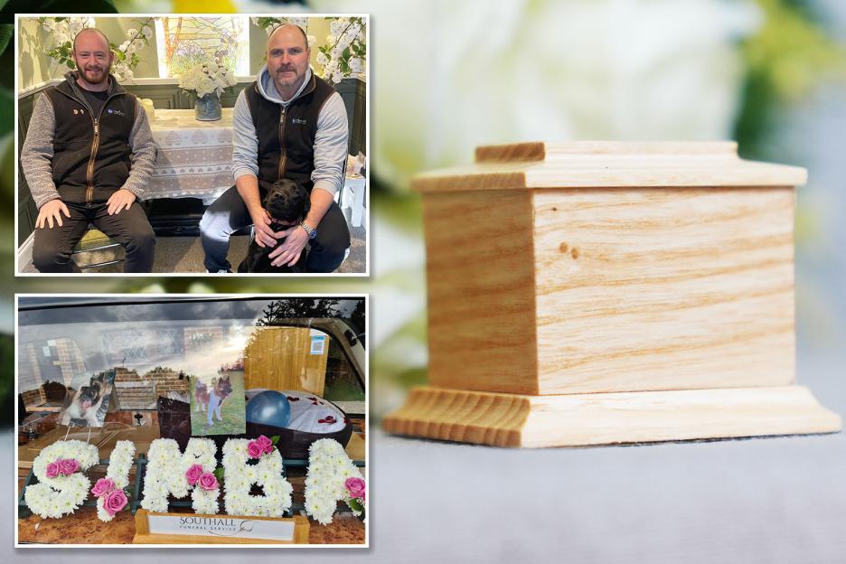 The Quirky Side of Luxury Pet Funerals: From Goldfish Coffins to Drone-Aided Ash Scattering and Unique Last Wishes!