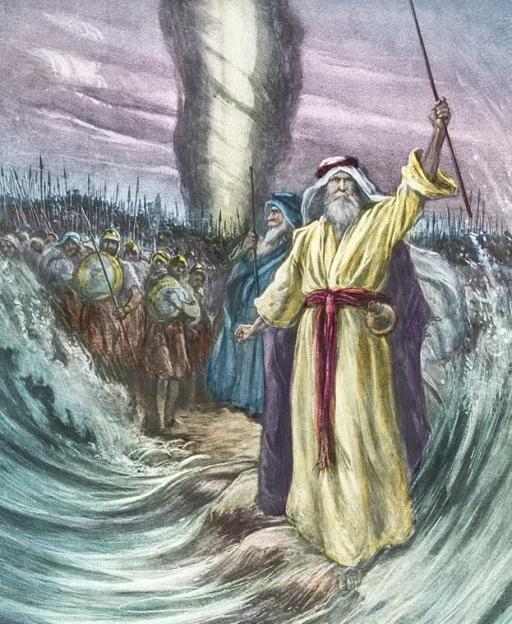 NINTCHDBPICT001075843792