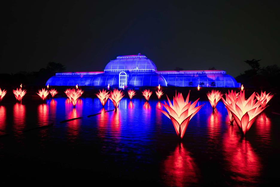 A glass greenhouse bathed in blue light at night, with red glowing lotus-like structures floating on the water in front.