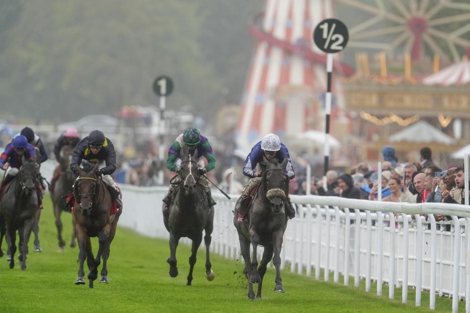 British Racing in Turmoil: Over 40 Horses Withdrawn from Races for a Common Cause