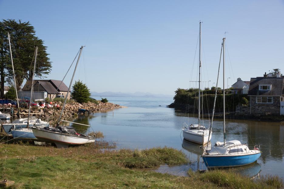 A harbor with multiple sailboats docked and houses in the background.