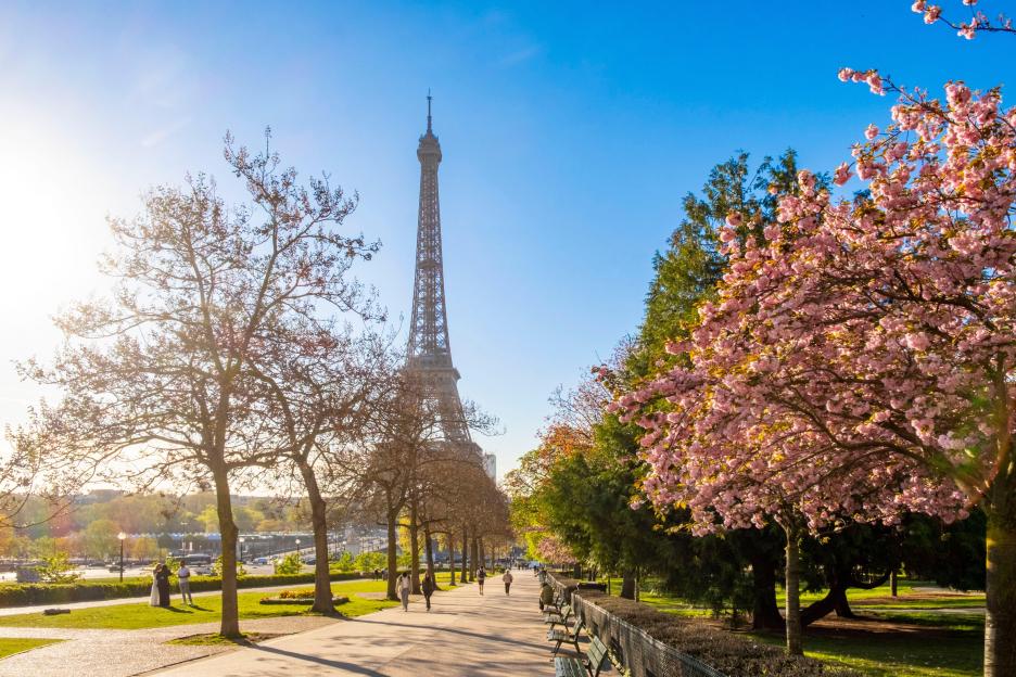 Trocadero Gardens in Paris with cherry blossoms and the Eiffel Tower in the background.