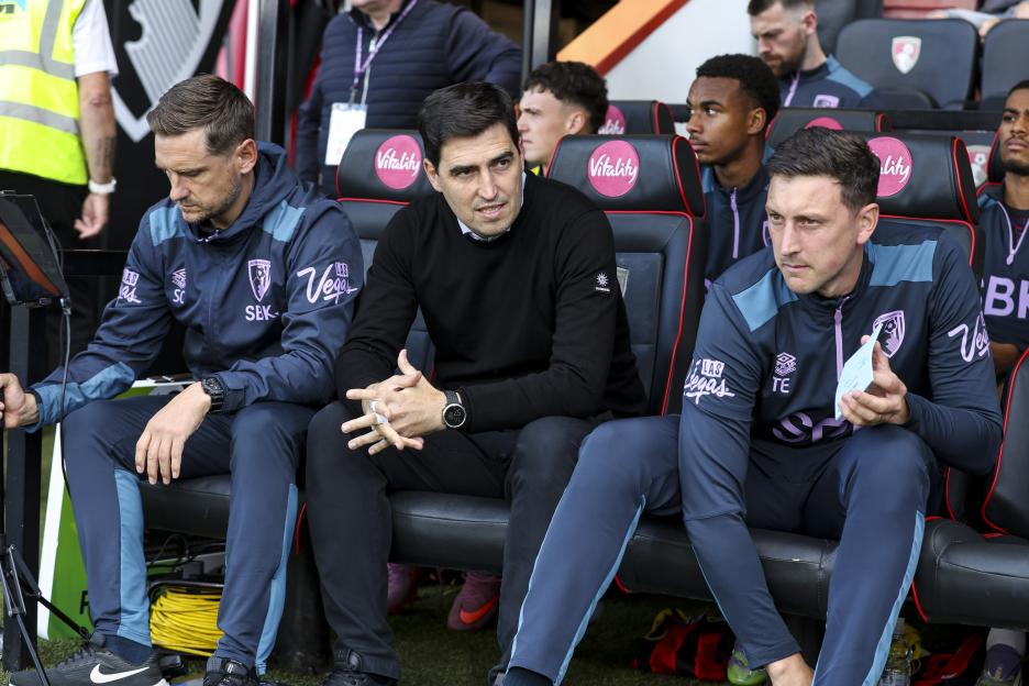 Bournemouth v Brighton & Hove Albion - Premier League