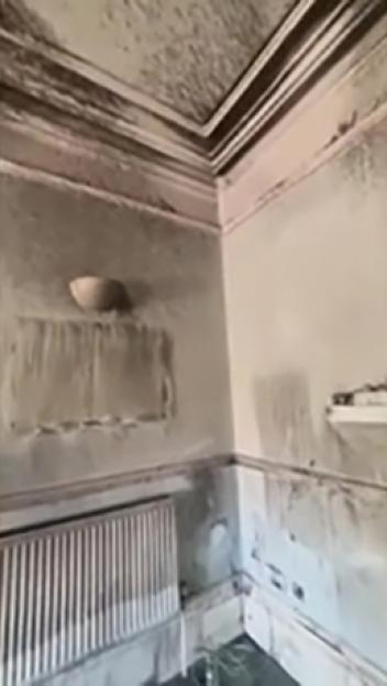 NINTCHDBPICT001072535558