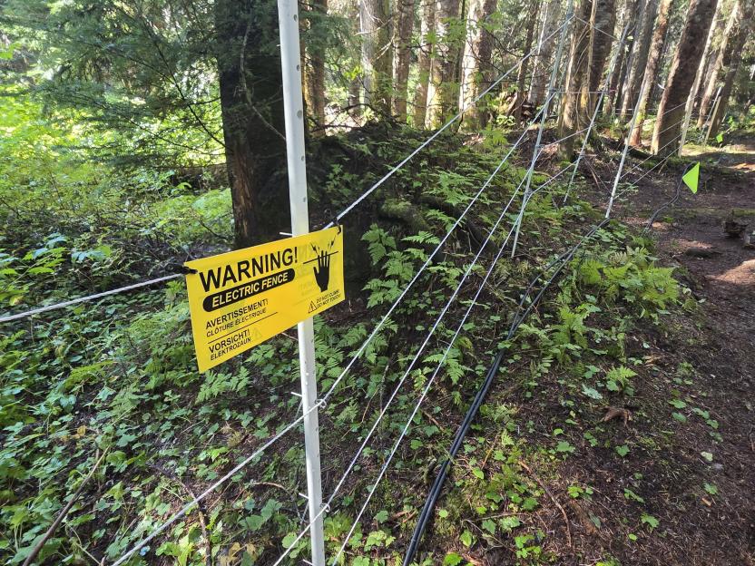 An electric fence with a yellow "WARNING! ELECTRIC FENCE" sign in a forest.