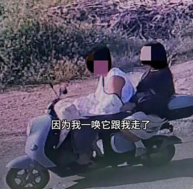 NINTCHDBPICT001086155728