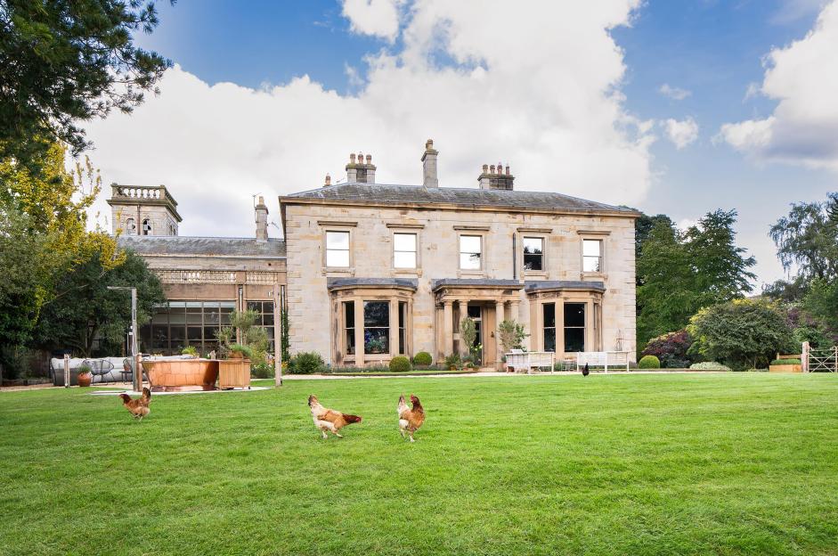 Country house with chickens on the lawn.