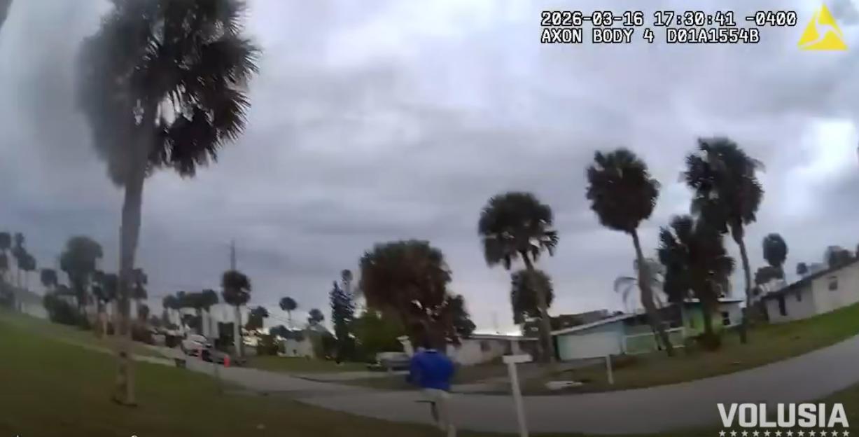 NINTCHDBPICT001070355635