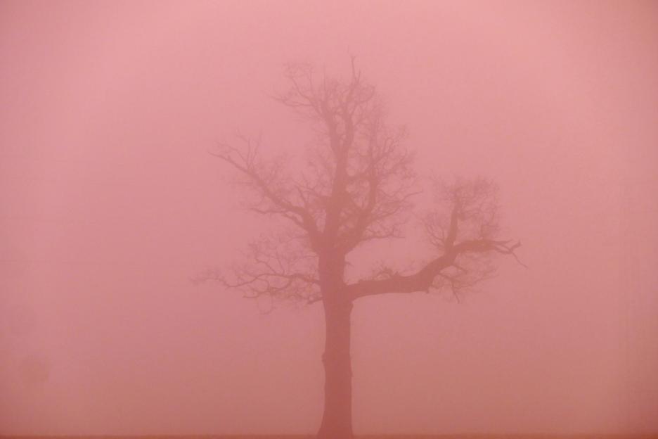 Seasonal weather, pink fog, Dunsden, Oxfordshire, UK - 17 Dec 2025