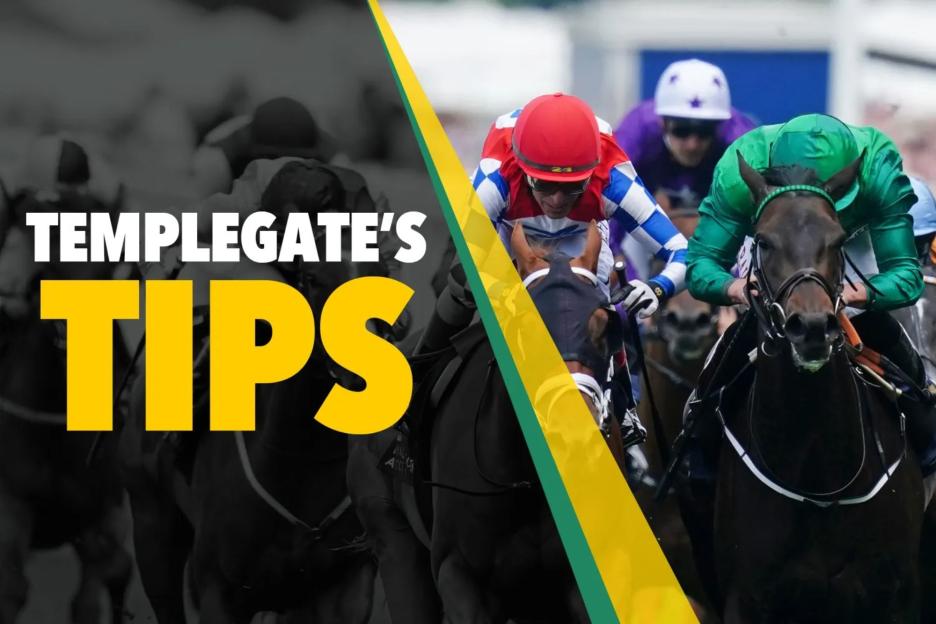 'Templegate's Monday NAP: 'He triumphed here last spring, and another impressive performance is on the horizon!''