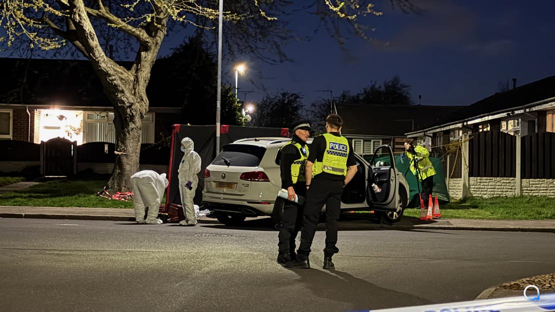 NINTCHDBPICT001071387942