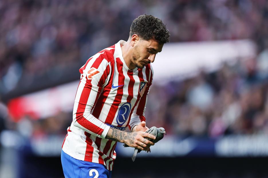 Game Interrupted as Superstar Rescues Injured Pigeon Struck by Misguided Ball!