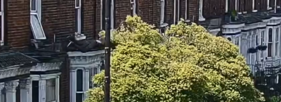 A person in dark clothing is seen on the roof of a bay window, below an open first-floor window, with a large tree in front.