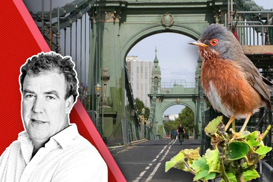 'UK in Crisis: £4 Million Bridge for Birds Approved Amidst Chaos'