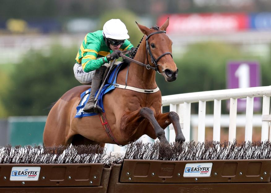 Dublin Racing Festival - Day Two